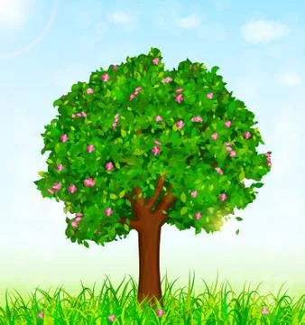 Blossom tree Stock Illustration