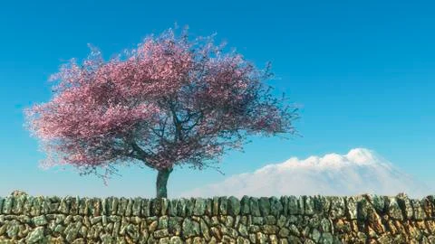 Blossoming almond tree Stock Illustration