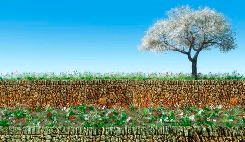 Blossoming almond tree Stock Illustration