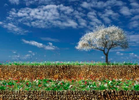 Blossoming almond tree Stock Illustration