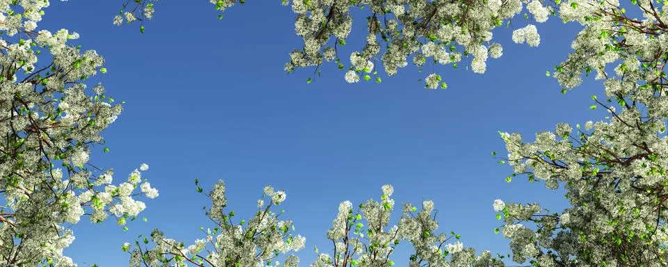Blossoming almond tree Stock Illustration