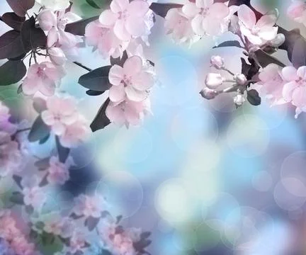 Blossoming apple. Spring time. Background. Dawn in the garden. 스톡 사진