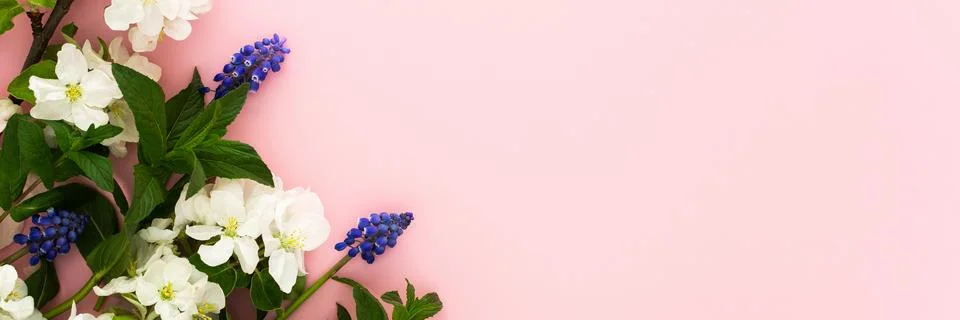 Blossoming apple tree branches and mint leaves and flowers Muscari Stock Photos