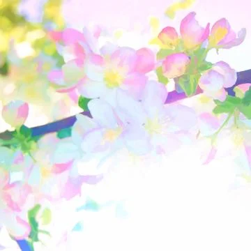 Blossoming apple tree Illustrazione stock