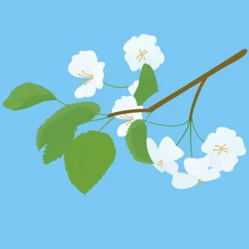 Blossoming Apple Tree spring Twig on blue Stock Illustration
