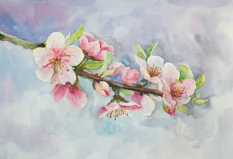 Blossoming branch of apple tree Stock Illustration