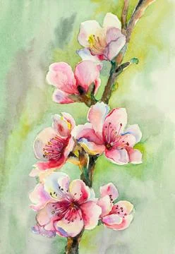Blossoming branch of apple tree Illustrazione stock