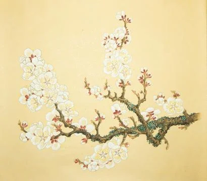 Blossoming branch of apple tree Stock Illustration