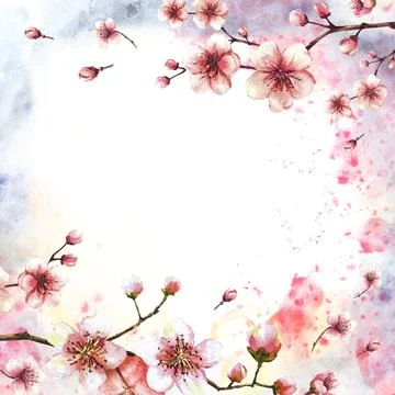 Blossoming branch from cherry, sakura tree Spring card template Watercolor Stock Illustration