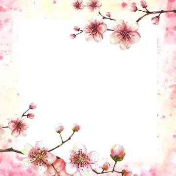 Blossoming branch from cherry tree Spring card template on watercolor splashes Stock-Illustration
