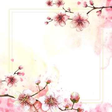 Blossoming branch from cherry tree Spring card template on watercolor splashes Stock Illustration