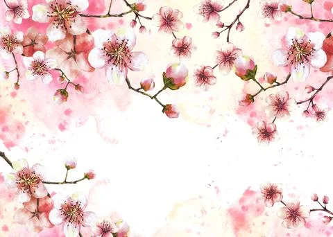 Blossoming branch from cherry tree Spring banner template on watercolor painted Illustrazione stock