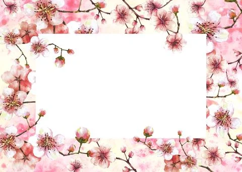 Blossoming branch from cherry tree Spring banner template on watercolor painted Stock Illustration