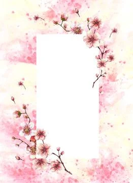Blossoming branch from cherry tree Spring card template on watercolor splashes Stock Illustration