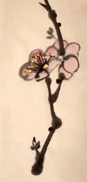 Blossoming branch of plum Stock Illustration