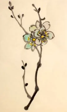 Blossoming branch of plum Stock Illustration