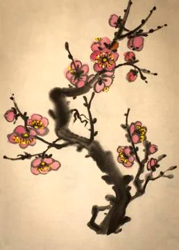 Blossoming branch of plum Illustrazione stock