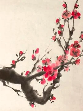 Blossoming branch of plum Stock Illustration