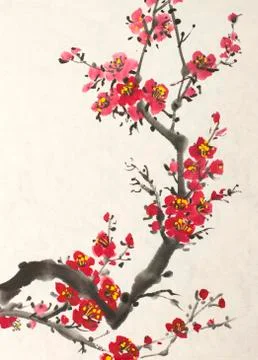 Blossoming branch of plum Stock Illustration