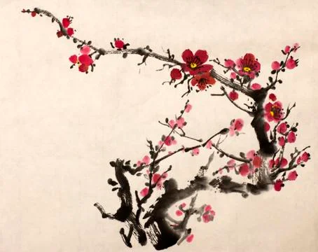 Blossoming branch of plum Stock Illustration