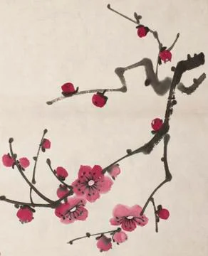 Blossoming branch of plum Stock Illustration