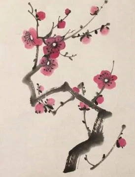 Blossoming branch of plum Illustrazione stock