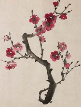 Blossoming branch of plum Stock Illustration