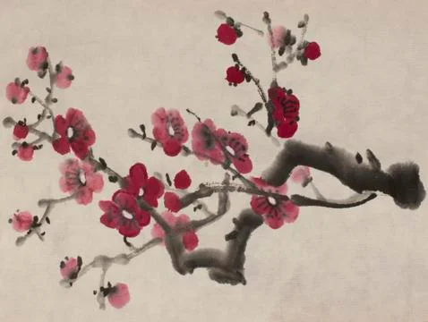 Blossoming branch of plum Stock Illustration