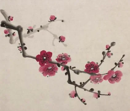 Blossoming branch of plum Stock Illustration