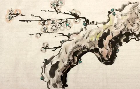 Blossoming branch of plum Illustrazione stock