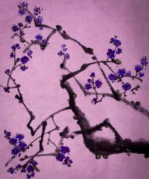 Blossoming branch of plum Stock Illustration