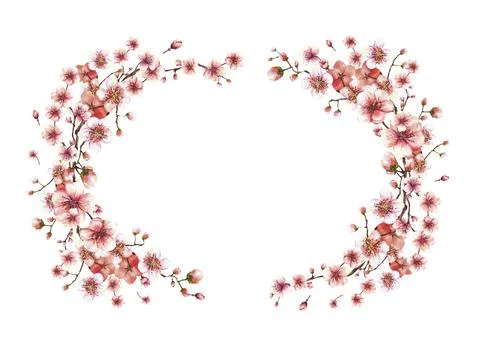 Blossoming branch from tree, spring oval template sakura cherry apricot flowers Stock Illustration