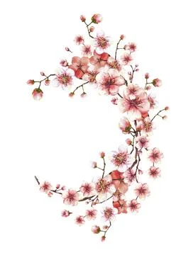 Blossoming branch from tree Spring wreath with sakura, cherry flowers Watercolor Stock Illustration