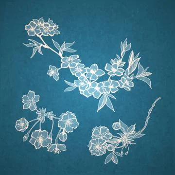 Blossoming cherry decorative elements Stock Illustration
