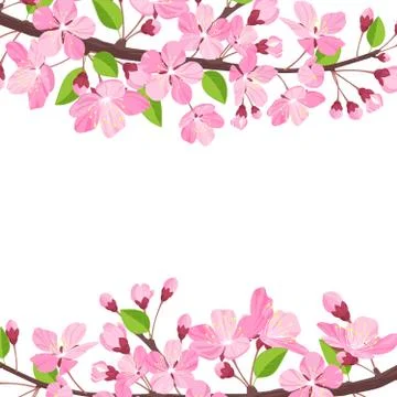 Blossoming cherry spring background. Apple tree of branch flowers and buds frame Stock Illustration