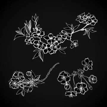 Blossoming floral decorative elements Illustrazione stock