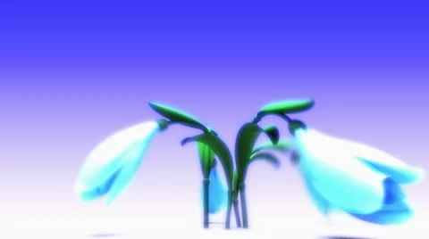 Blossoming flower Stock Footage 10889400