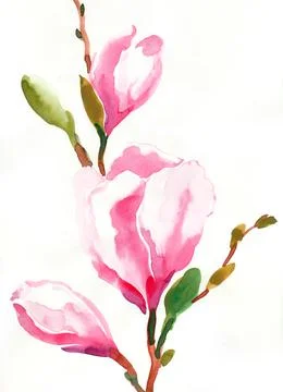 Blossoming flowers Stock Illustration
