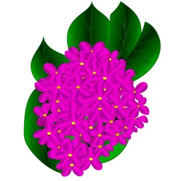 Blossoming lilac Illustrazione stock