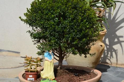 The blossoming path Stock Photos