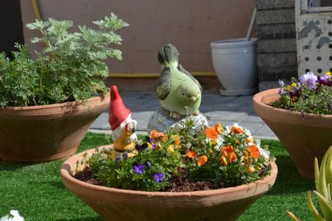 The blossoming path Stock Photos