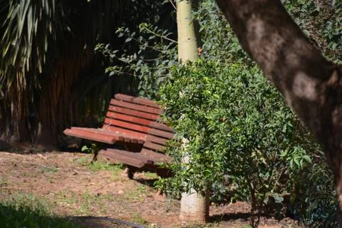 The blossoming path Stock Photos