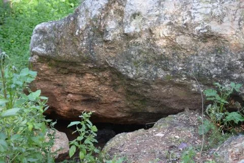 The blossoming path Stock Photos