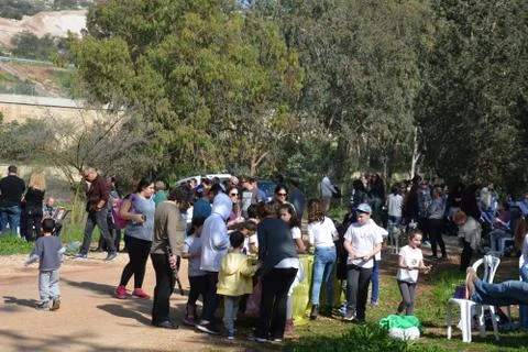 The blossoming path Stock-Fotos