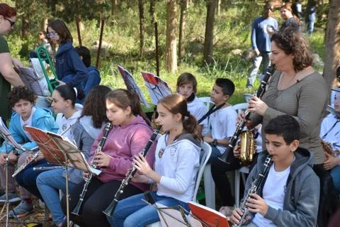 The blossoming path 스톡 사진