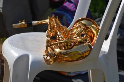 The blossoming path Stock Photos