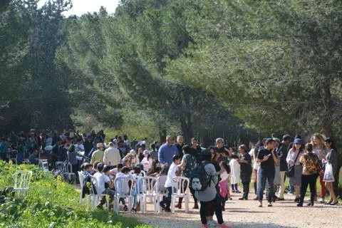 The blossoming path Stock Photos