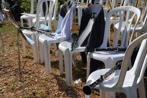 The blossoming path Stock Photos