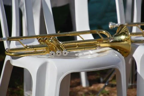 The blossoming path Stock Photos