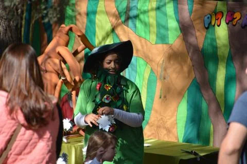 The blossoming path Stock Photos